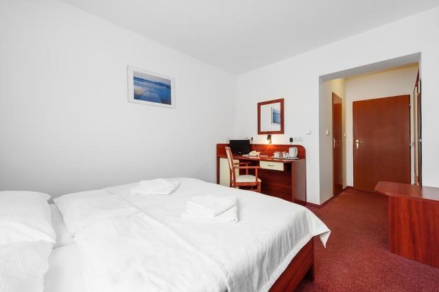 hotel-marie-luisa-praha-pokoj1.jpg