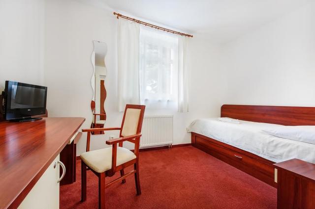 hotel-marie-luisa-praha-pokoj2.jpg