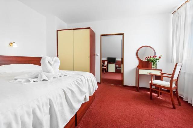 hotel-marie-luisa-praha-pokoj3.jpg