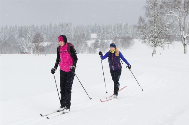 hotel-depandance-srni-sumava-zimni-sporty-okoli-priroda-bezky.j