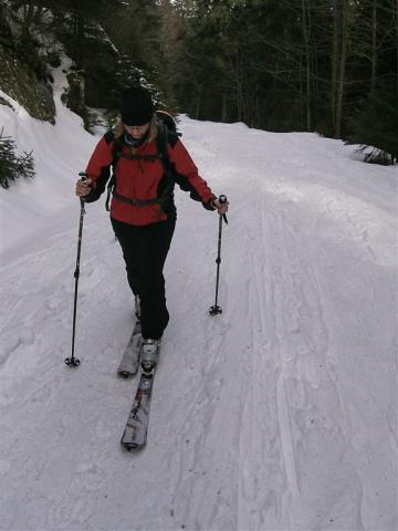hotel-depandance-srni-sumava-zimni-sporty-skialpy-priroda-okoli