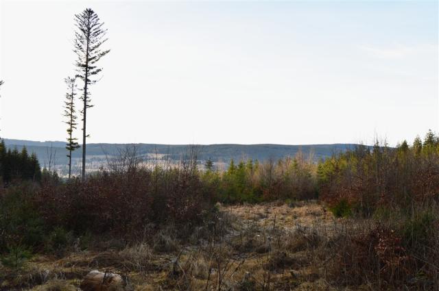 hotel-srni-sumava-panorama.jpg.jpg