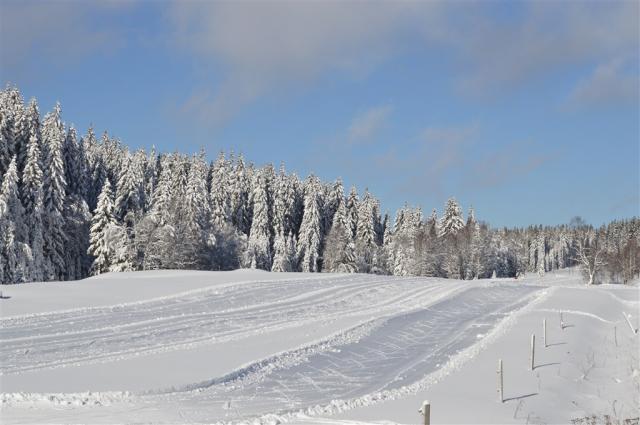 hotel-srni-sumava-zasnezene-okoli.jpg.jpg