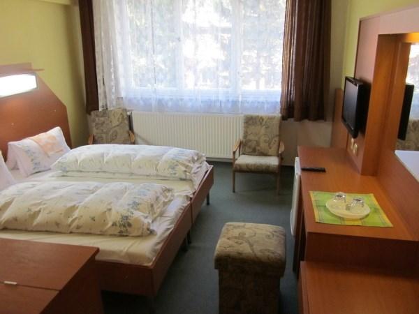 hotel-penzion-u-prehrady-moravka-ubytovani-vybaveni-pokoje-typu