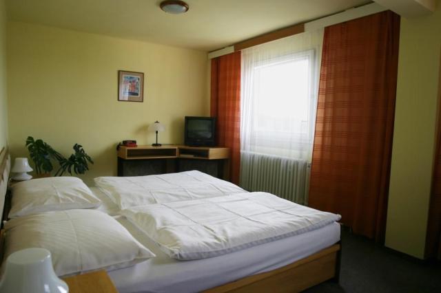 hotel-zvikov-zvikovske-podhradi-hotelovy-pokoj2.jpg