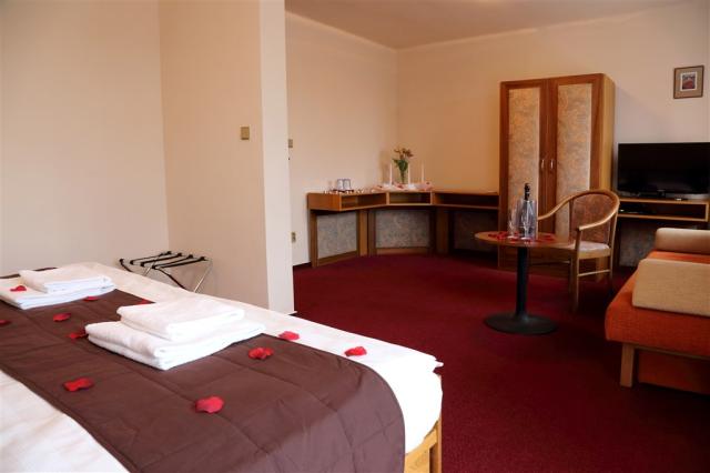 hotel-zvikov-zvikovske-podhradi-hotelovy-pokoj-romanticky.jpg