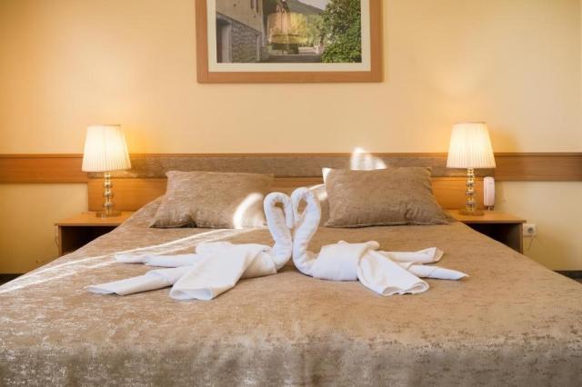 hotel-aquasol-resort-madarsko-mosonmagyarovar-dvouluzkovy-pokoj