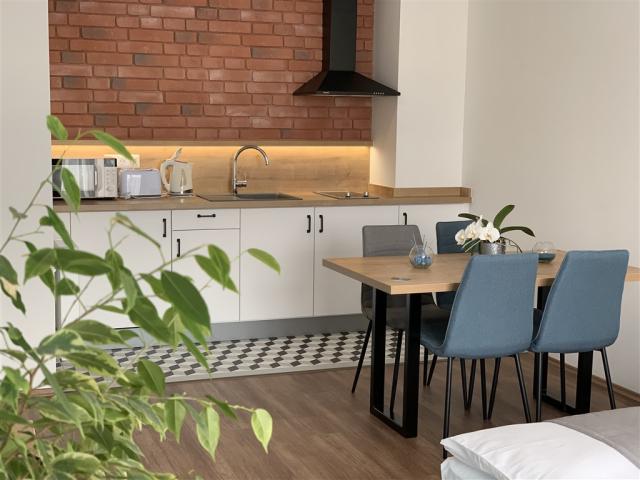 apartmnovy-dum-berill-madarsko-sarvar-apartman-kuchyn (4).jpg