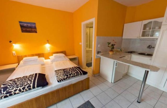 hotel-lidia-wellness-ha04-harkany-apartman-3.jpg