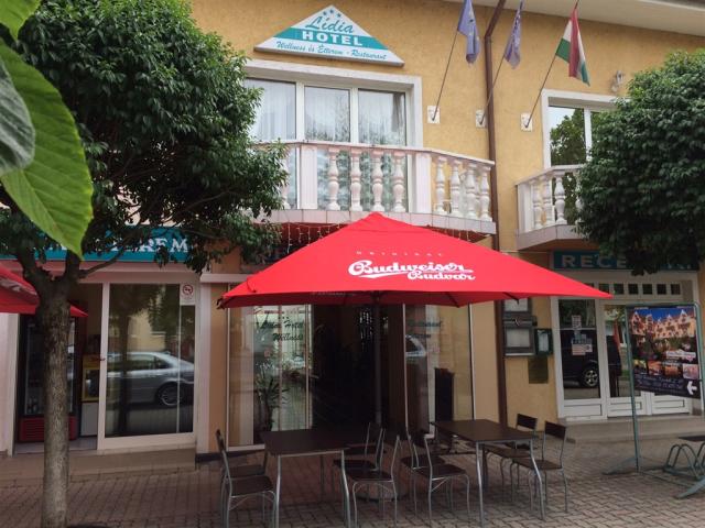hotel-lidia-wellness-a-restaurace-madarsko-harkany-vchod-do-hot