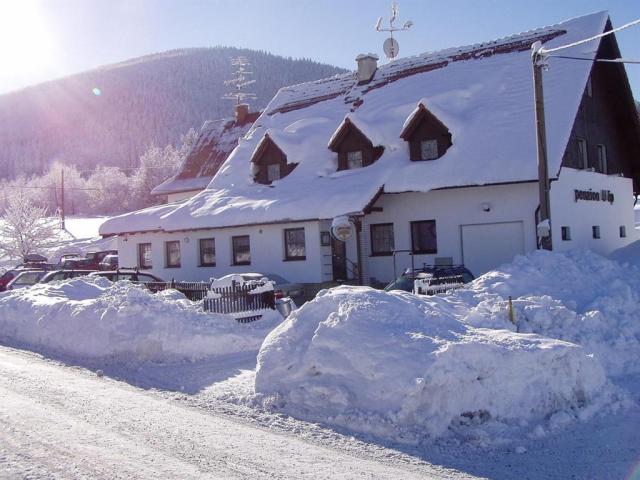 hotel-u-lip-trojanovice-celkovy-pohled-na-penzion-v-zimnim-obdo