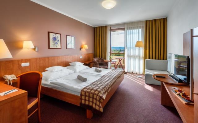 hotel-pelion-madarsko-tapolca-dvouluzkovy-pokoj (2).jpg