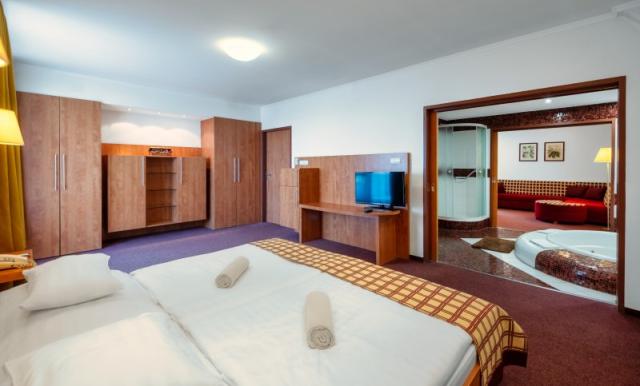 hotel-pelion-madarsko-tapolca-apartman-deluxe (2).jpg