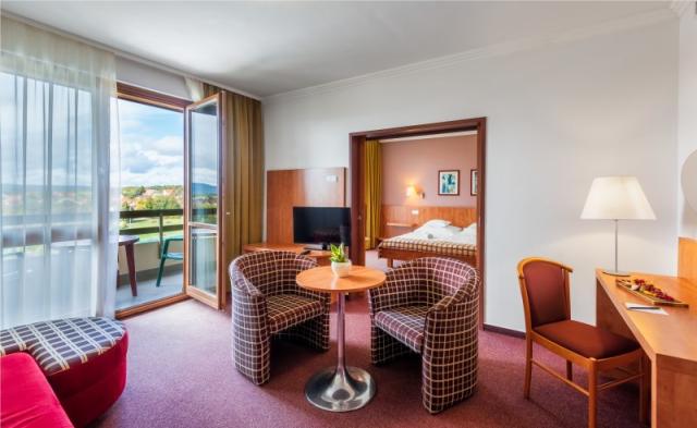 hotel-pelion-madarsko-tapolca-apartman-junior.jpg
