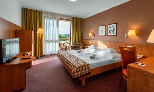 hotel-pelion-madarsko-tapolca-dvouluzkovy-pokoj-bezbarierovy.jp