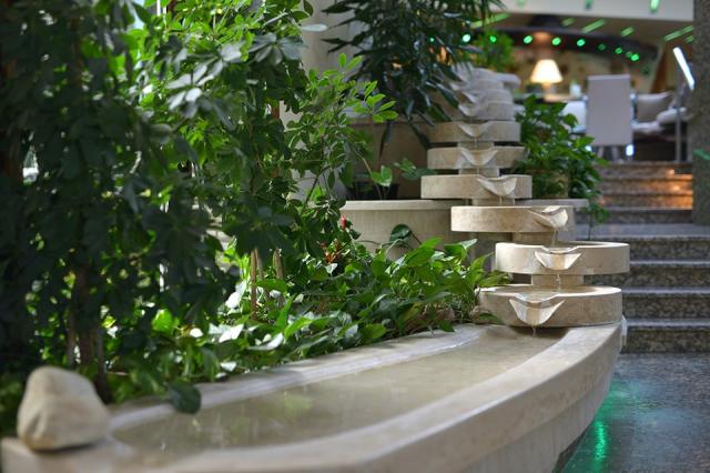 Hotel-naturmed-carbona-heviz-hv12-hotel-wellness5.jpg