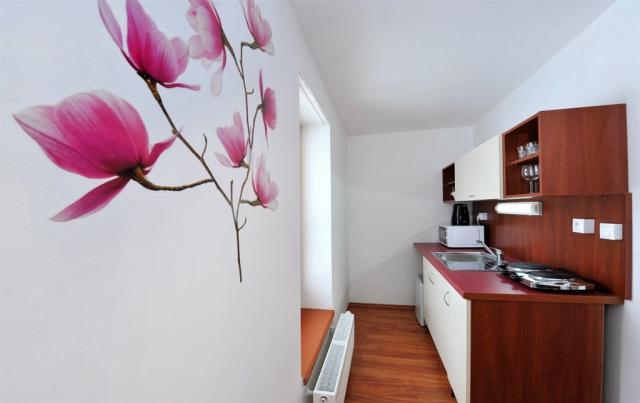 vila-magnolia-slovensko-tatranska-lomnice-triluzkovy-apartman (