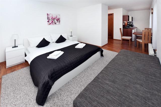 vila-magnolia-slovensko-tatranska-lomnice-dvouluzkove-studio.jp