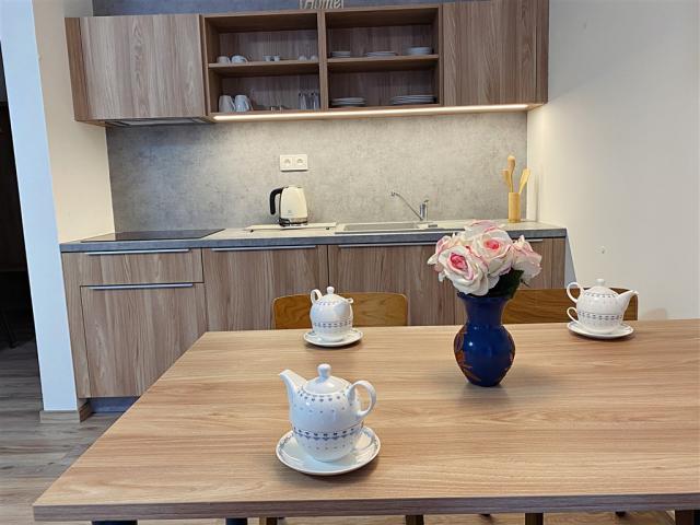 apartmany-credo-slovensko-dolny-smokovec-vysoke-tatry-koupelna-