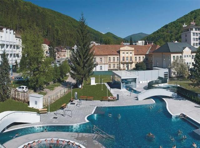 hotel-flora-trencianske-teplice-venkovni-bazen.jpg