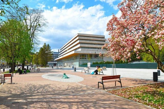 hotel-flora-trencianske-teplice-okoli-hotelu.jpg