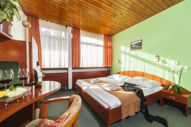 hotel-flora-trencianske-teplice-ubytovani-2.jpg