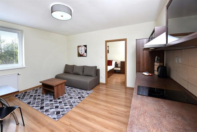 vila-julia-slovensko-tatranska-lomnice-triluzkovy-apartman (2).
