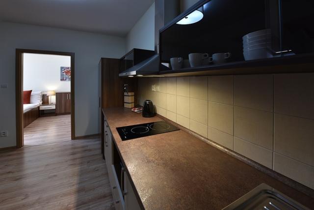 vila-julia-slovensko-tatranska-lomnice-triluzkovy-apartman (4).