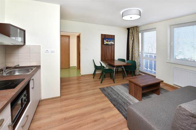 vila-julia-slovensko-tatranska-lomnice-ctyrluzkovy-apartman (3)