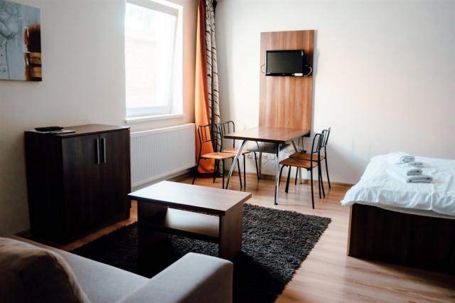vila-julia-slovensko-tatranska-lomnice-dvouluzkove-studio (2).j