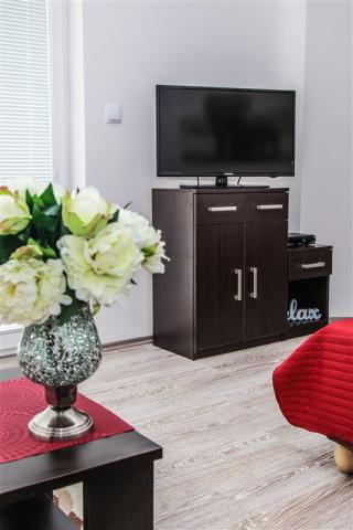 apartmany-relax-podhajska-slovensko-ubytovani-televize.jpg