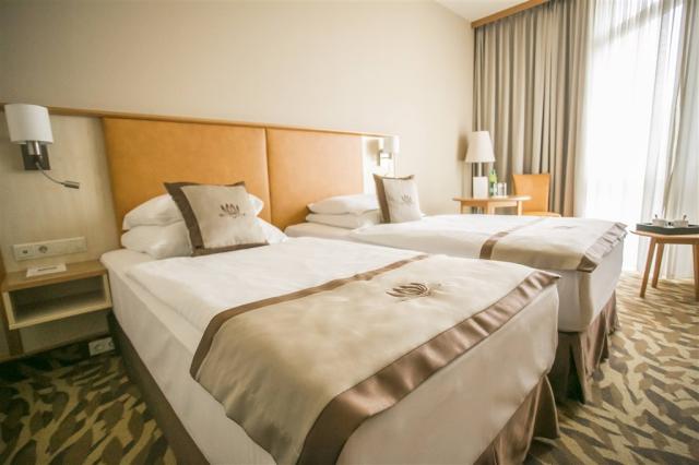 hotel-lotus-therme-heviz-twin.jpg