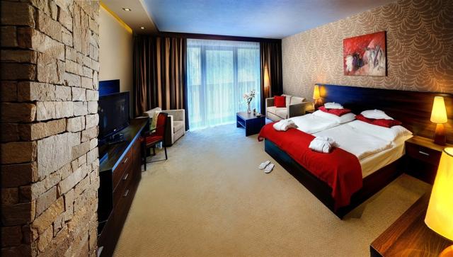 wellness-hotel-chopok-slovensko-jasná-dvouluzkovy-pokoj-plesniv