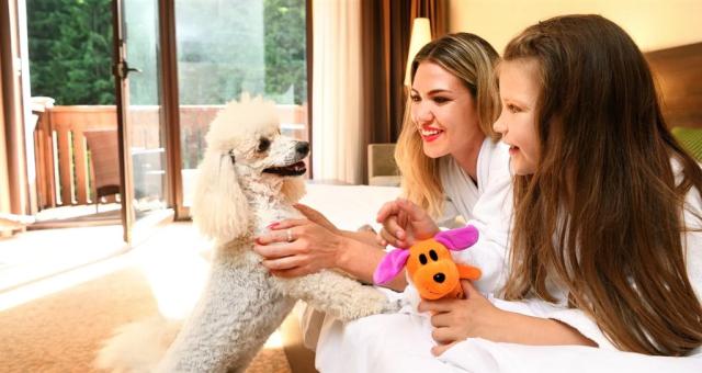 Jasna-wellness-hotel-chopok-dvouluzkovy-pokoj-plesnivec-psi-maz