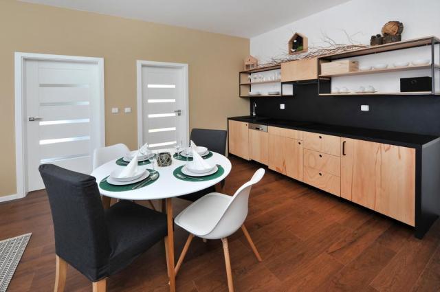 vila-olivia-stary-smokovec-slovensko-ubytovani-apartman-kuchyns