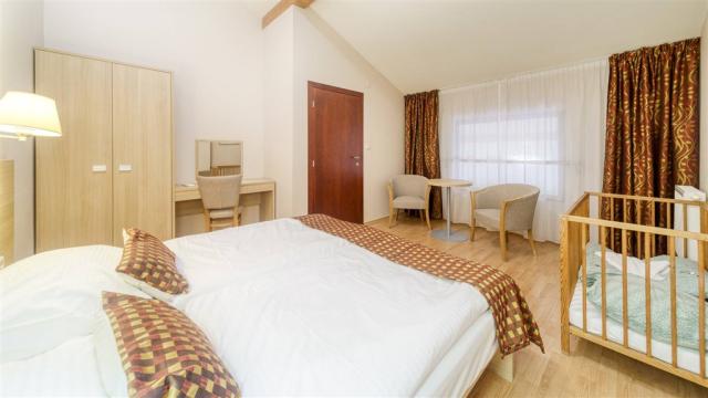 wellness-hotel-patince-slovensko-patince-dvouluzkovy-pokoj-delu