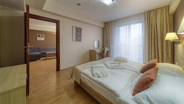 wellness-hotel-patince-slovensko-patince-dvouluzkovy-apartman1.