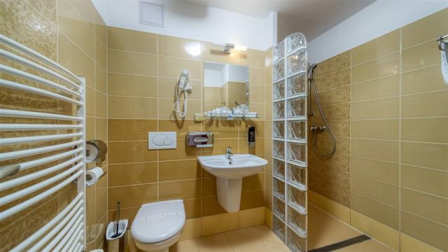 wellness-hotel-patince-slovensko-patince-dvouluzkovy-apartman-k