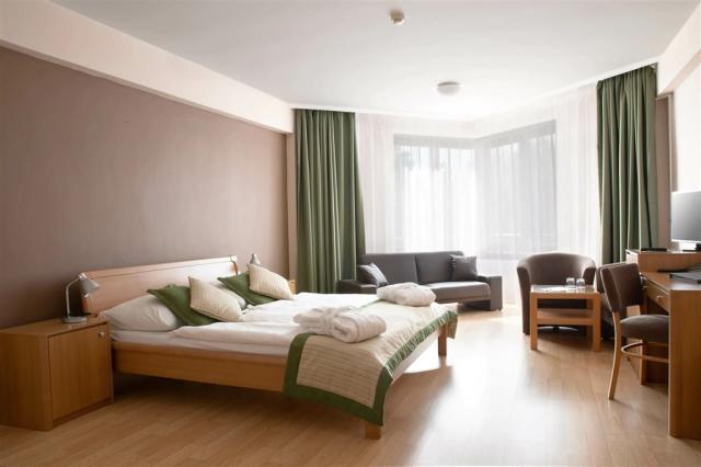wellness-hotel-patince-slovensko-patince-dvouluzkovy-pokoj-supe