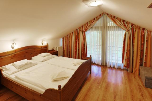 hotel-arany-szarvas-madarsko-gyor-dvouluzkovy-pokoj (3).jpg
