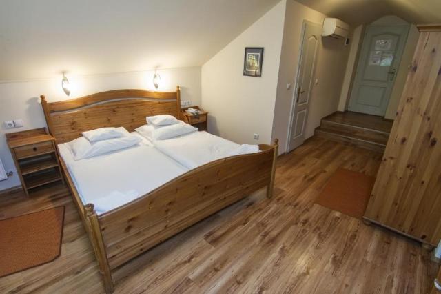 hotel-arany-szarvas-madarsko-gyor-dvouluzkovy-pokoj (6).jpg