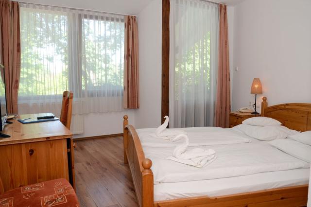 hotel-arany-szarvas-madarsko-gyor-dvouluzkovy-pokoj (7).jpg