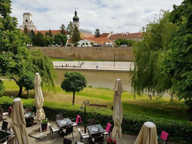 hotel-arany-szarvas-madarsko-gyor-terasa-a-výhled.jpg