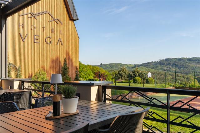 hotel-vega-cesko-luhacovice-venkovni-terasa.jpg