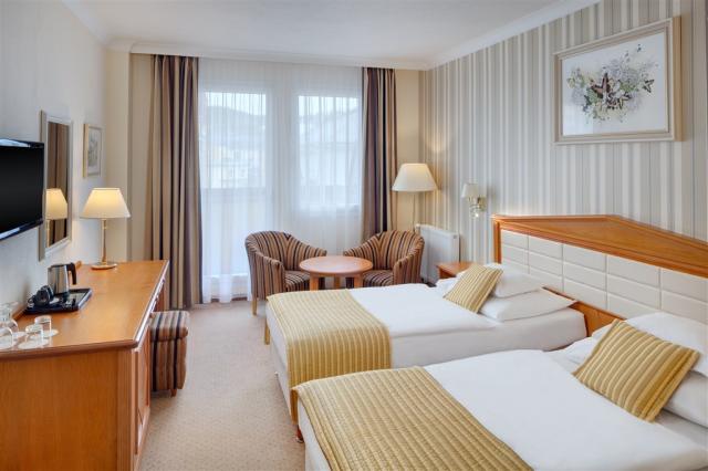 hotel-butterfly-ceska-republika-marianske-lazne-dvouluzkovy-pok