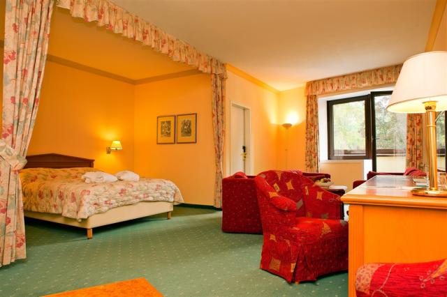 hotel-butterfly-ceska-republika-marianske-lazne-dvouluzkovy-pok