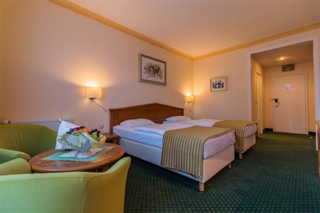 hotel-butterfly-ceska-republika-marianske-lazne-dvouluzkovy-pok