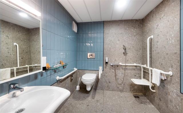 hotel-hunguest-buk-madarsko-buk-dvouluzkovy-bezbarierovy-pokoj-