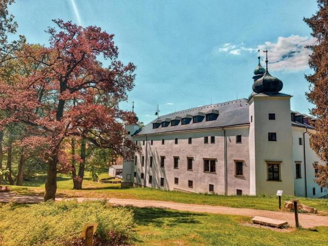 zamecky-hotel-trest-ceska-republika-trest-pohled-na-hotel (2).j