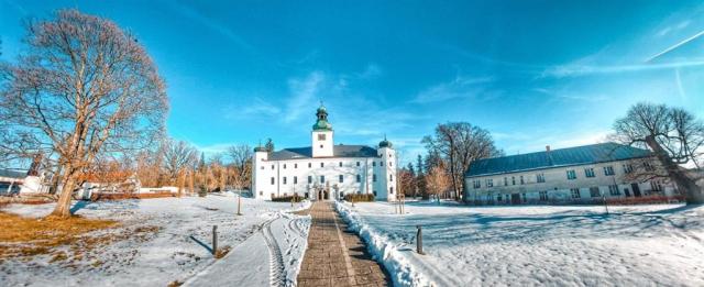 zamecky-hotel-trest-ceska-republika-trest-pohled-na-hotel (6).j